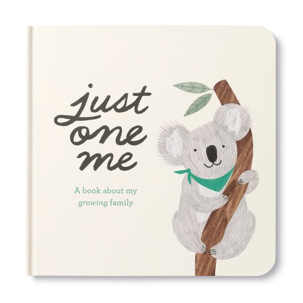 Just one me a big sibling book