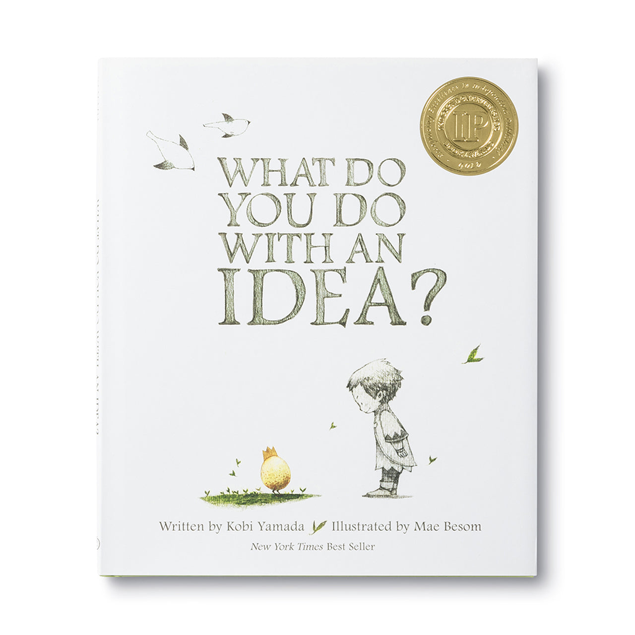 What do you do with an idea book
