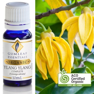 YLANG YLANG ORGANIC ESSENTIAL OIL