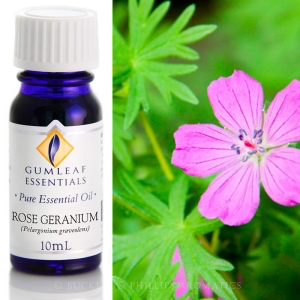 ROSE GERANIUM PURE ESSENTIAL OIL