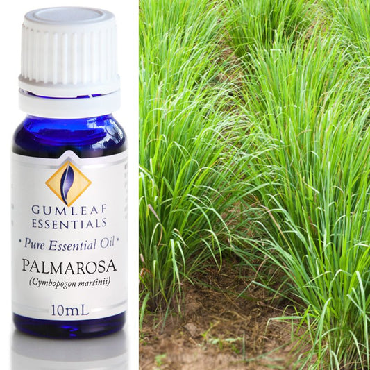 PALMAROSA ESSENTIAL OIL
