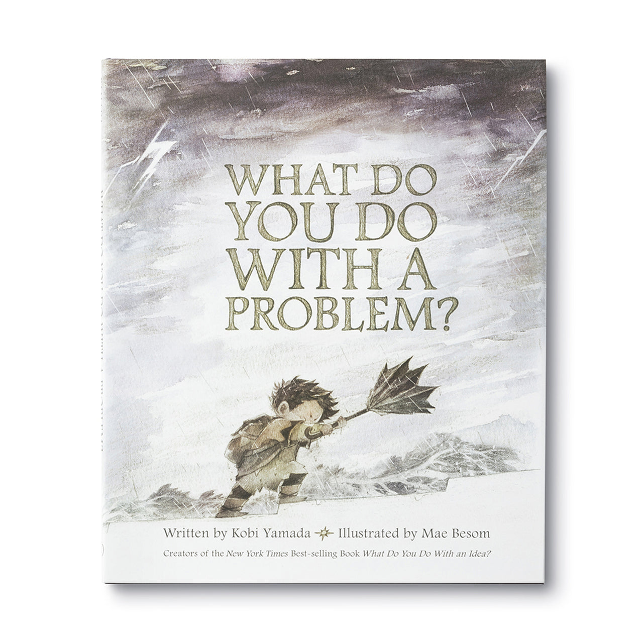 What do you do with a problem book