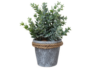 PLANT WITH ROPE ON POT