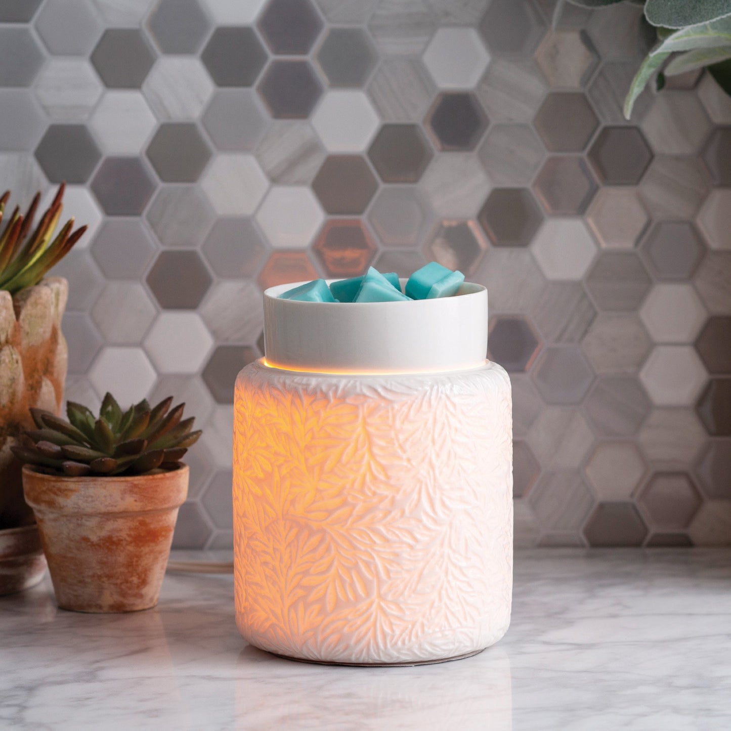 Botanical wax warmer