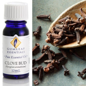 CLOVE BUD PURE ESSENTIAL OIL