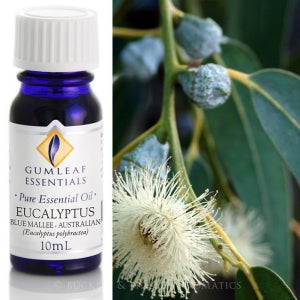 EUCALYPTUS BLUE MALLEE PURE ESSENTIAL OIL