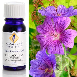 GERANIUM EGYPTIAN PURE ESSENTIAL OIL