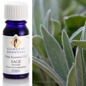 SAGE SPANISH PURE ESSENTIAL OIL