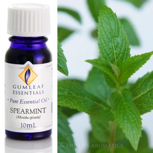 SPEARMINT PURE ESSENTIAL OIL