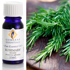 ROSEMARY SPANISH PURE ESSENTIAL OIL