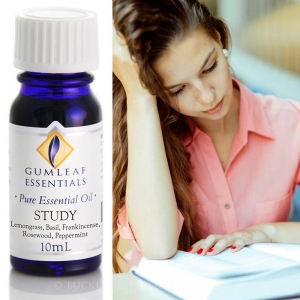 STUDY ESSENTIAL OIL BLEND