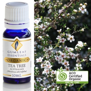 TEA TREE ORGANIC ESSENTIAL OIL