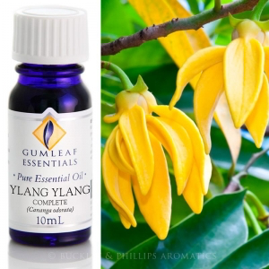 YLANG YLANG COMPLETE PURE ESSENTIAL OIL