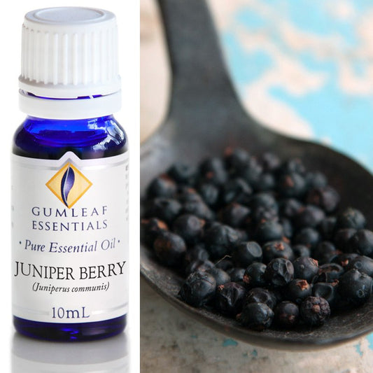 Juniper Berry essential oil