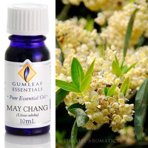 MAY CHANG PURE ESSENTIAL OIL