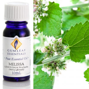 MELISSA LEMON BALM 3% IN JOJOBA PURE ESSENTIAL OIL