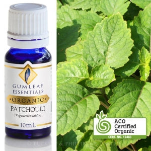 PATCHOULI ORGANIC ESSENTIAL OIL