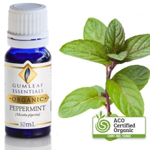 PEPPERMINT ORGANIC ESSENTIAL OIL